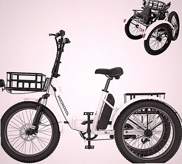 20" Fat Tire Foldable Electric Trike 1000W Motor 48V Battery Electric Tricycle