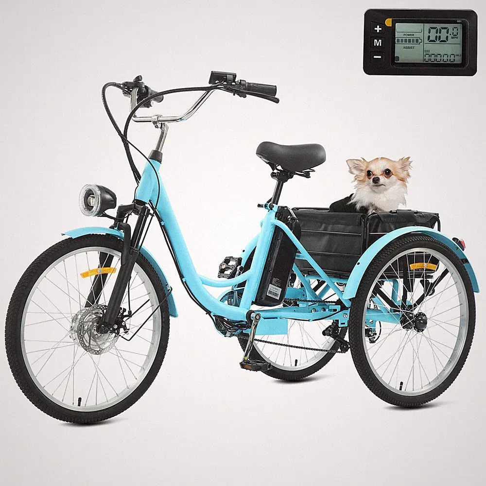 24" Electric Tricycle Trike 250W for Adult Bicycle MotorDual Battery with Basket