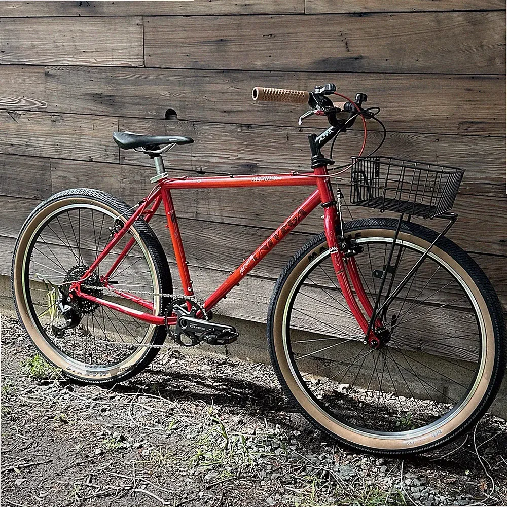 Adventure Ready Bicycle Completely Updated and Upgraded (Medium)