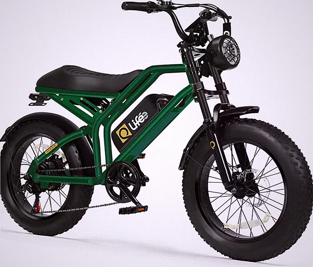 Qlife Spark Electric Bike 48v 1500W Electric Bike item is certified to UL 2849