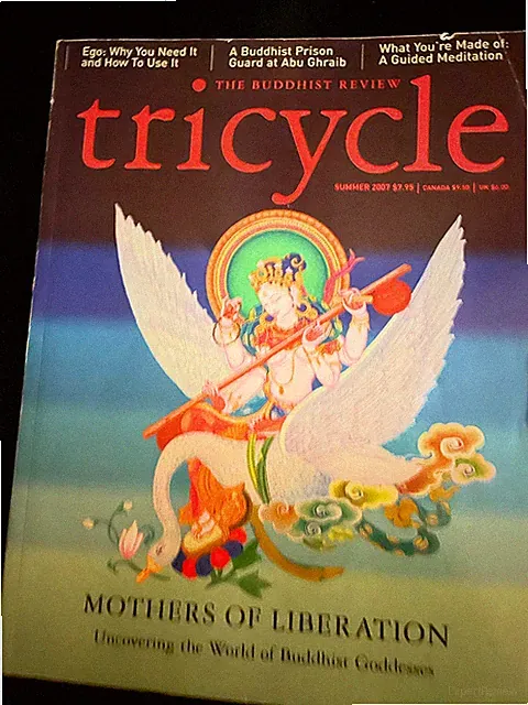 Tricycle Summer 207
